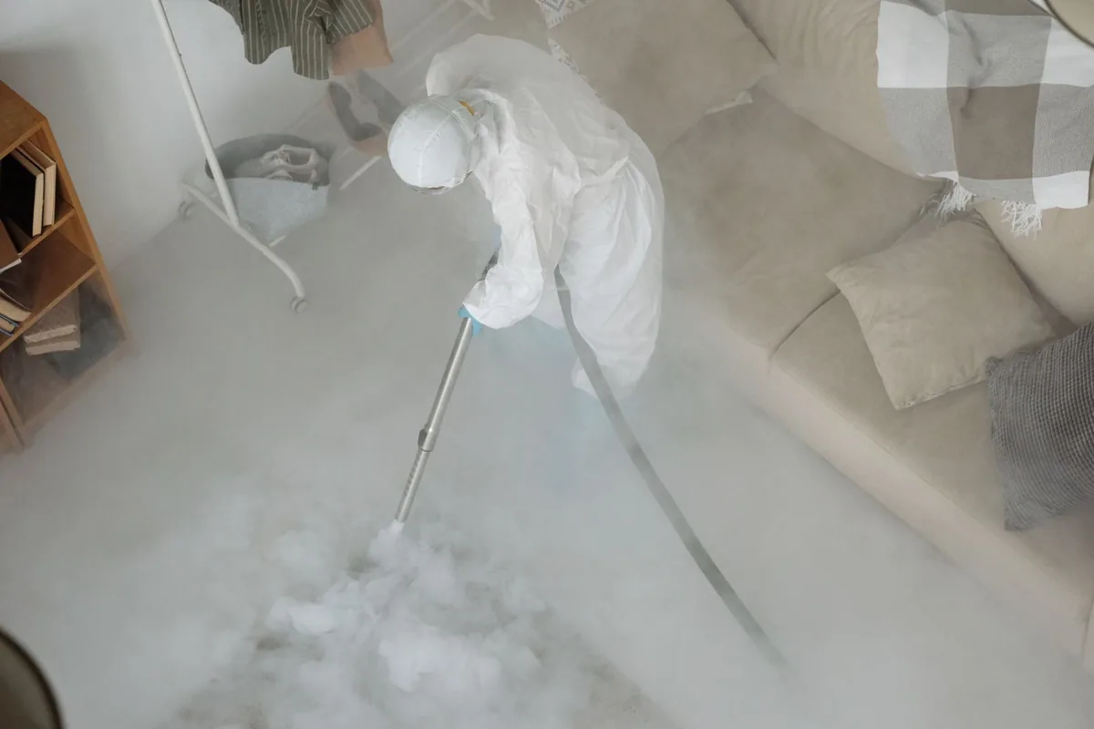 Biohazard Cleanup in Jacksboro, TX